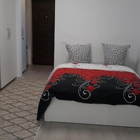 Irvin Apartament Iasi Esterno foto