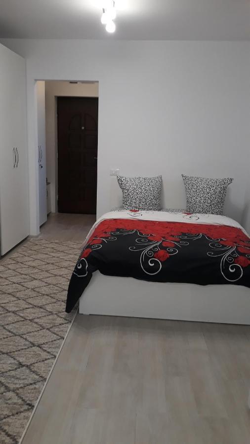 Irvin Apartament Iasi Esterno foto