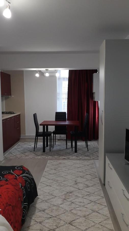 Irvin Apartament Iasi Esterno foto